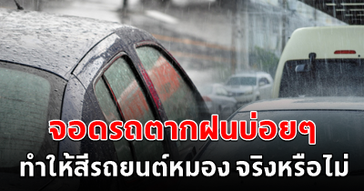 จอดรถตากฝนบ่อยๆ ทำให้สีรถยนต์หมอง จริงหรือไม่