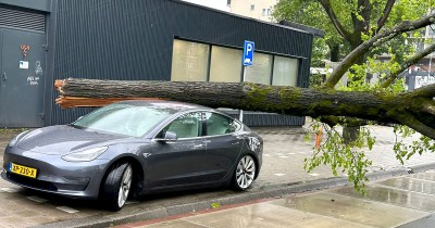 ขะขะขะแข็งแกร่งง! เมื่อ Tesla Model 3 โดนต้นไม้ล้มทับ แต่ตัวรถไม่เป็นไร แค่กระจกแตก!