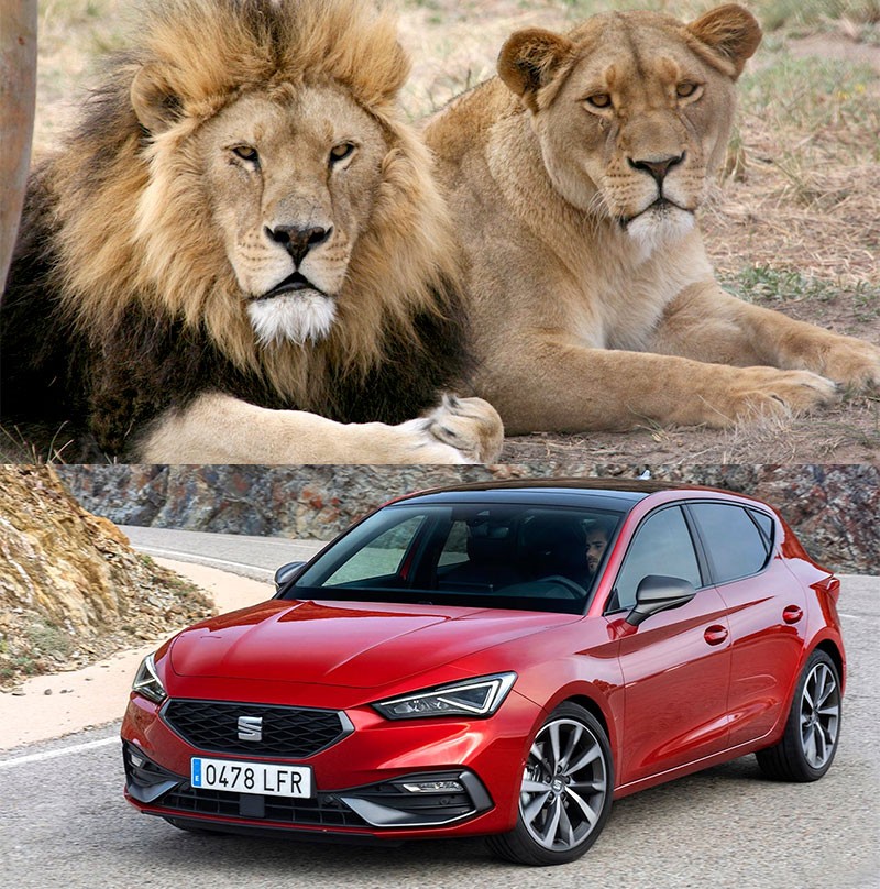 10 ยี่ห้อรถ & รุ่นรถยนต์ ที่มาจากสัตว์ในวงศ์ตระกูล "เสือ" และ "สิงโต"