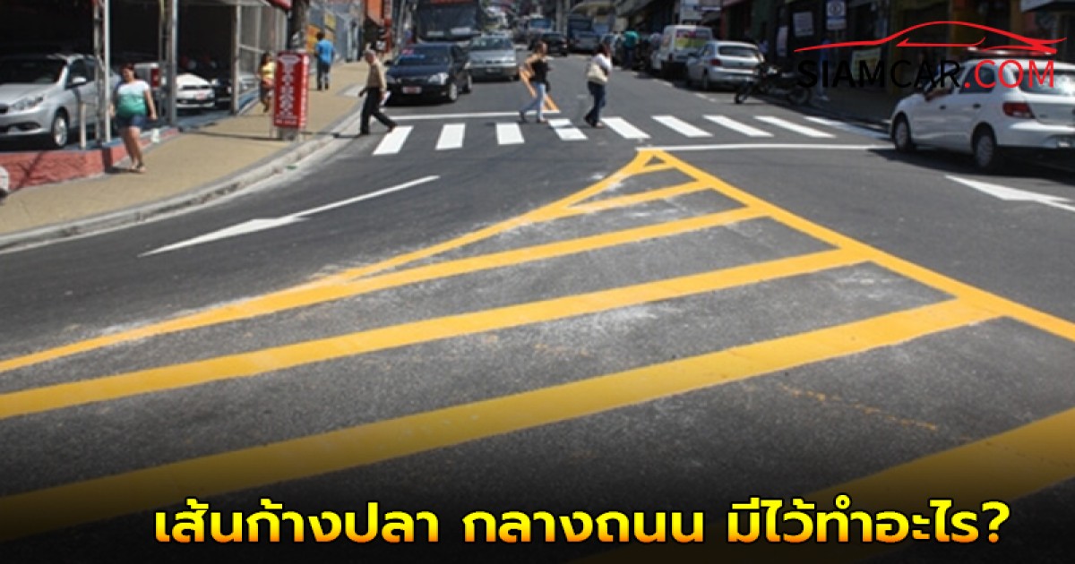 ใช้รถใช้ถนนต้องรู้! เส้นก้างปลา กลางถนน เส้นจราจรที่หลายคนอาจไม่เคยรู้ชื่อ