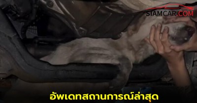 จนท. ได้รับเเจ้ง น้องหมาติดใต้ห้องเครื่องรถกระบะ อัพเดทสถานการณ์ล่าสุด
